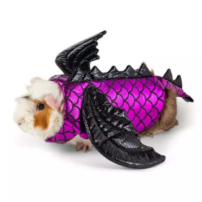 Product Thrills & Chills Dragon Small Pet Costume