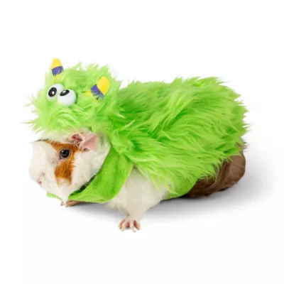 Product Thrills & Chills Monster Small Pet Costume