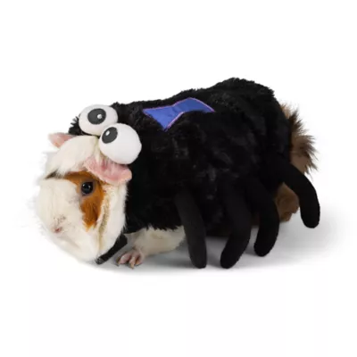 Product  Thrills & Chills Spider Small Pet Costume