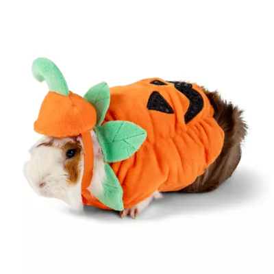 Product Thrills & Chills Pumpkin Small Pet Costume