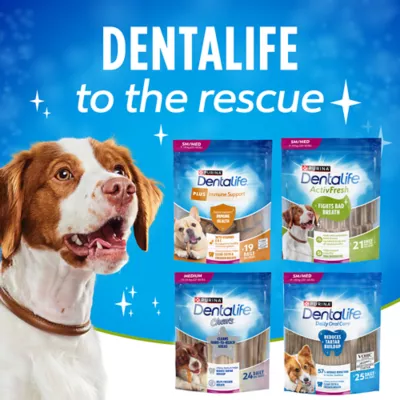 Product Purina DentaLife ActivFresh Medium Breed Dental Dog Treat