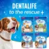 DentaLife ActivFresh Small/Medium Breeds, Dog Treats image thumbnail 7