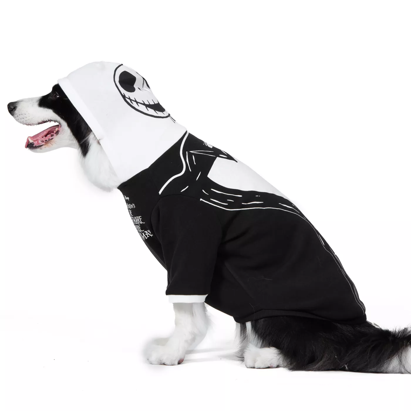 Disney dog hoodie best sale