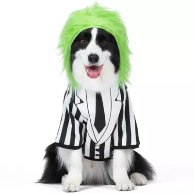 Product Halloween Beetlejuice Dog Costume Hoodie