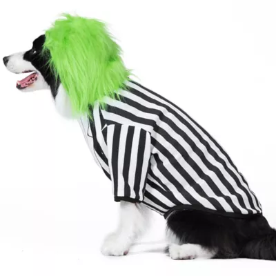 Product Halloween Beetlejuice Dog Costume Hoodie