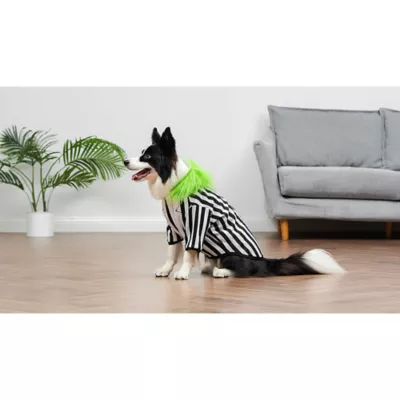 Product Halloween Beetlejuice Dog Costume Hoodie