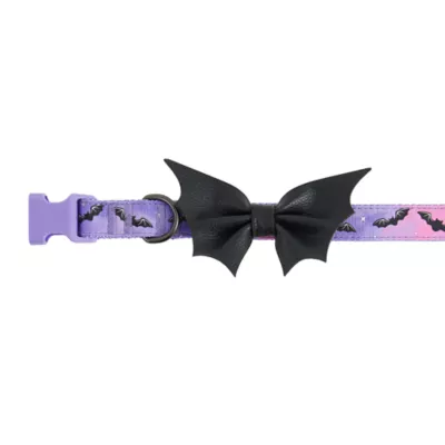 Product Thrills & Chills Embellish Bat Dog Collar