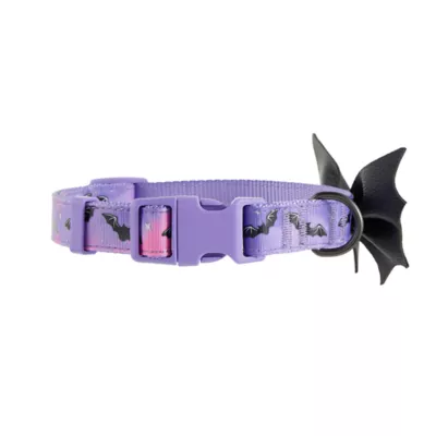 Product Thrills & Chills Embellish Bat Dog Collar