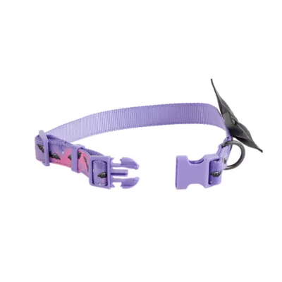 Product Thrills & Chills Embellish Bat Dog Collar