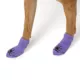 Product Thrills & Chills Dog Spider Socks