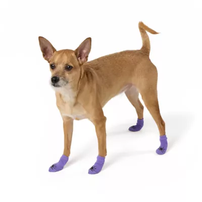 Product Thrills & Chills Dog Spider Socks