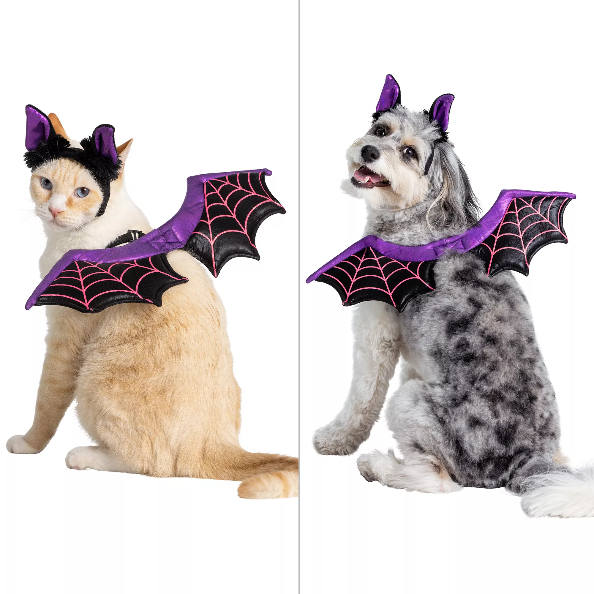 Thrills & Chills Bat Costume