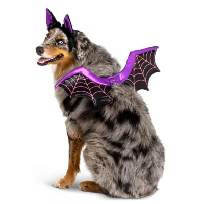 Product Thrills & Chills Bat Costume