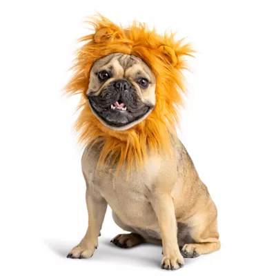 Product Thrills & Chills Lion Headpiece