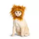 Product Thrills & Chills Lion Headpiece