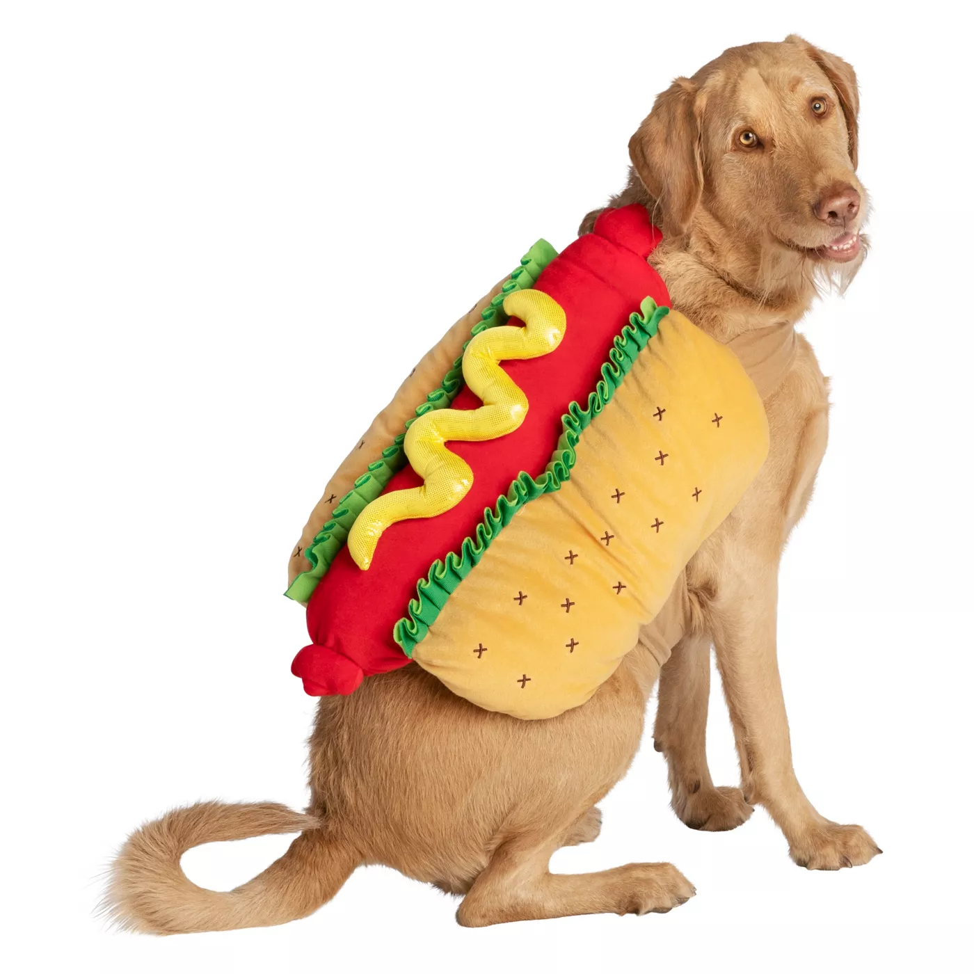 Fancy dress dog costumes best sale