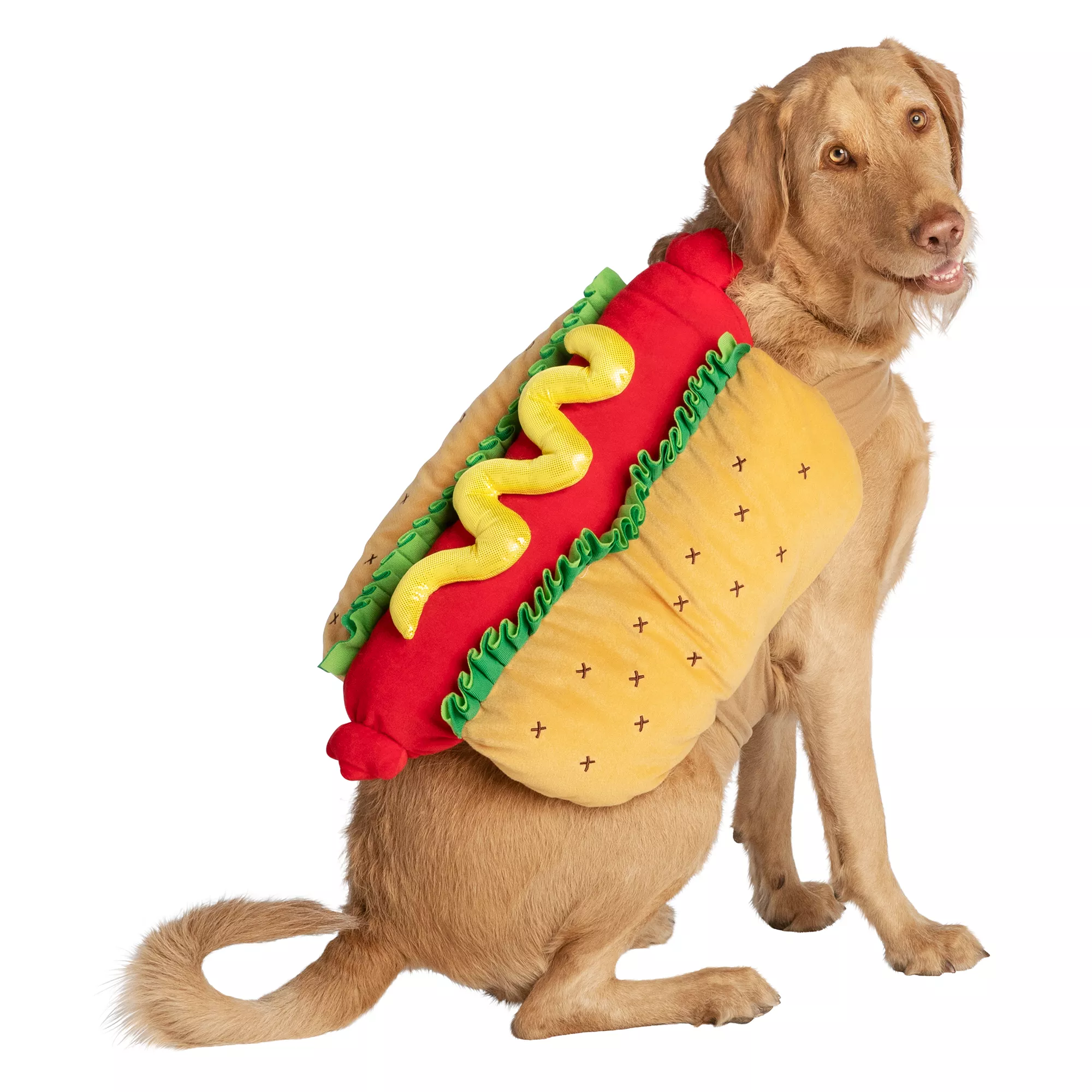 Thrills & Chills Hot Dog Costume