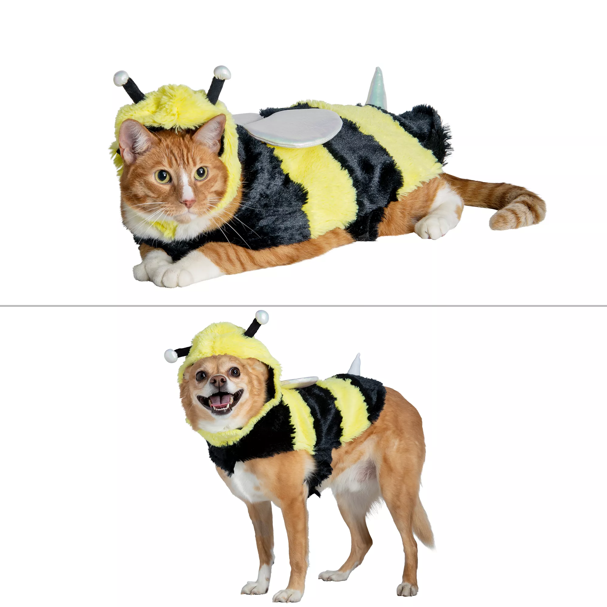 Thrills & Chills Bee Costume