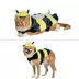 Thrills & Chills Bee Costume image thumbnail 1