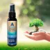 Atlantick Flea & Tick Natural Repellent Spray image thumbnail 4