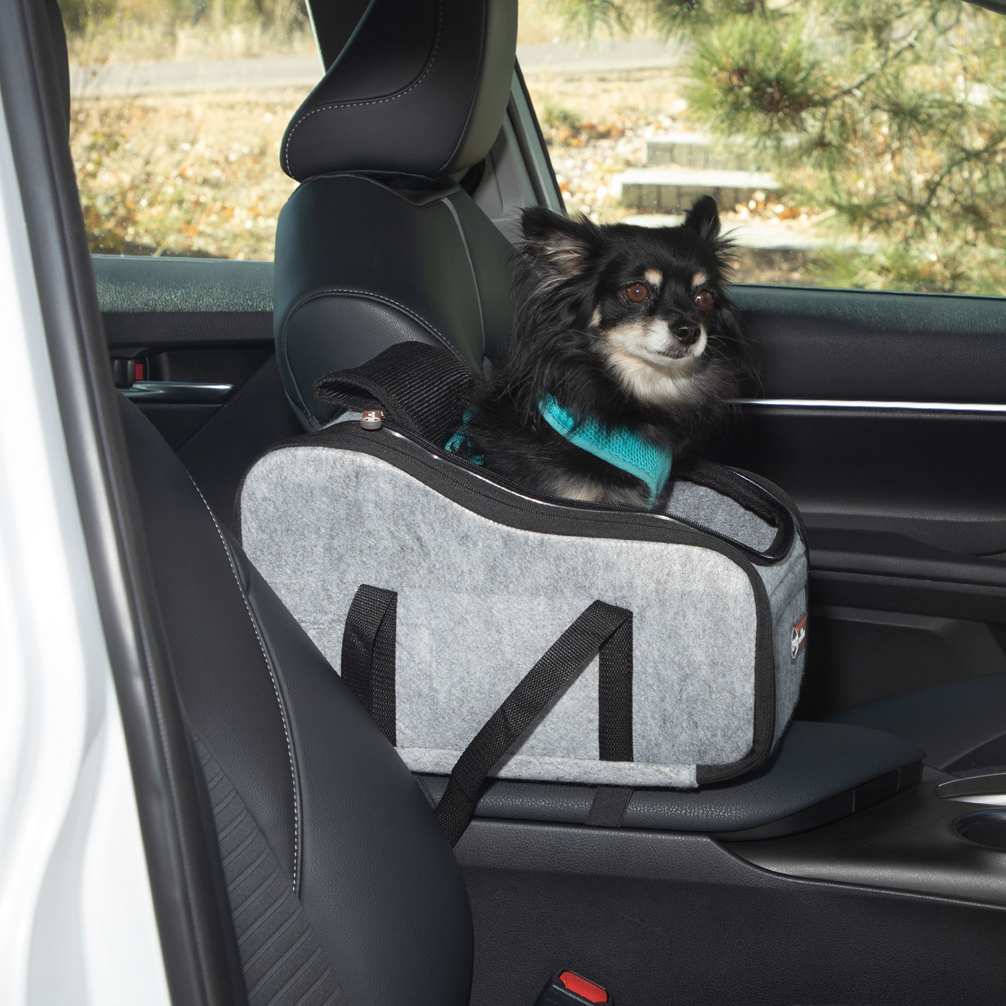 travel seats for small dogs