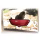 Product  K&H Pet Products EZ Mount Window Cat Bed