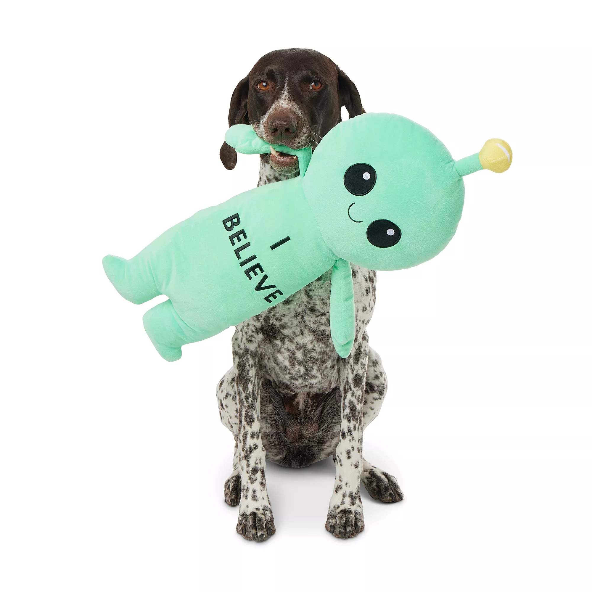 Thrills & Chills Alien Dog Toy