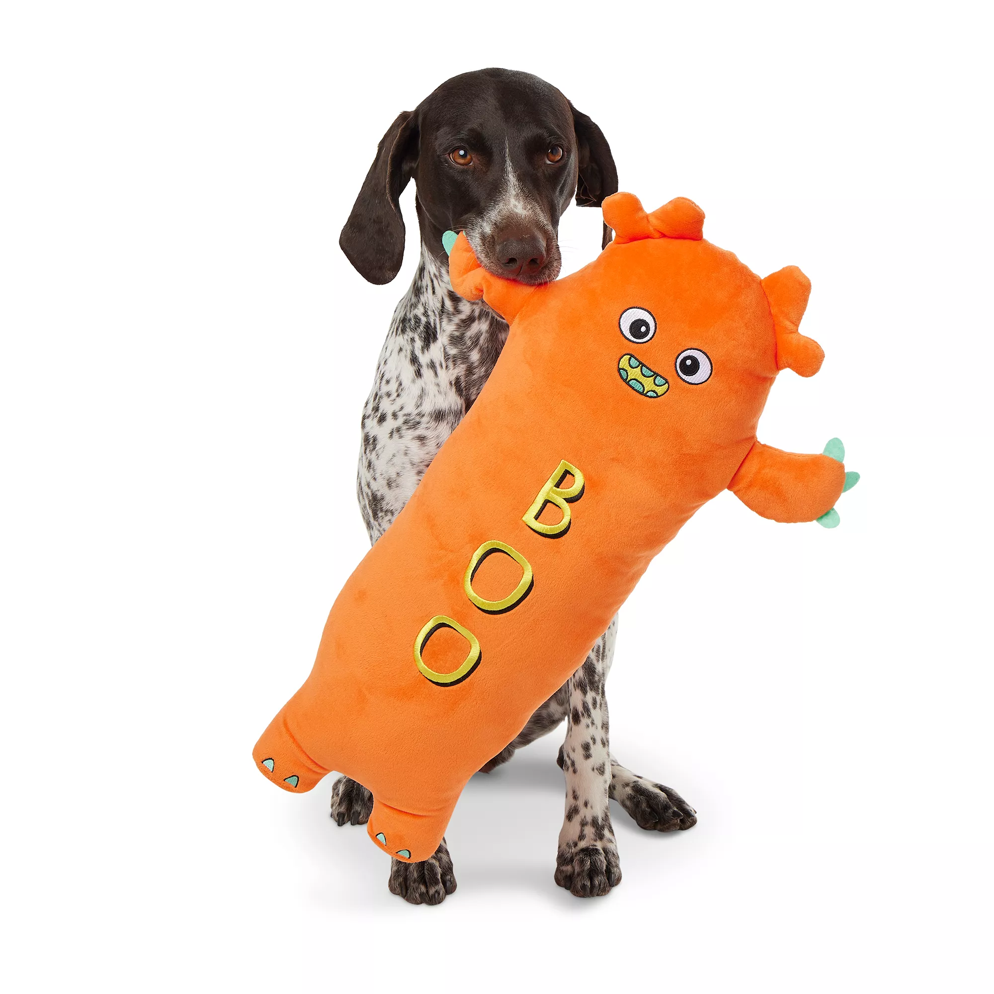 Thrills & Chills Monster Dog Toy