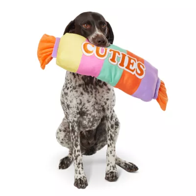 Product Thrills & Chills Candy Dog Toy