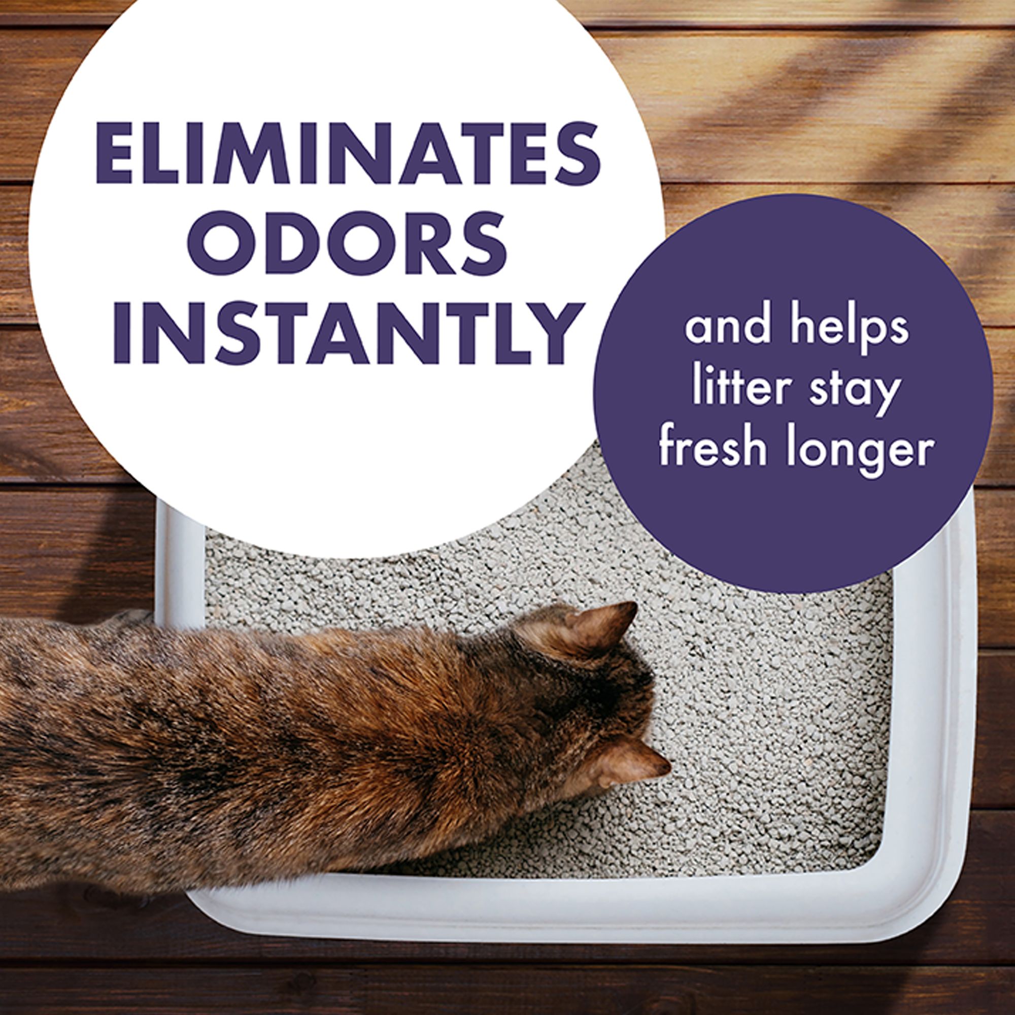 Arm & Hammer Forever Fresh Cat Litter Deodorizer Clumping Litter W/ Essential Oils - thumbnail 6