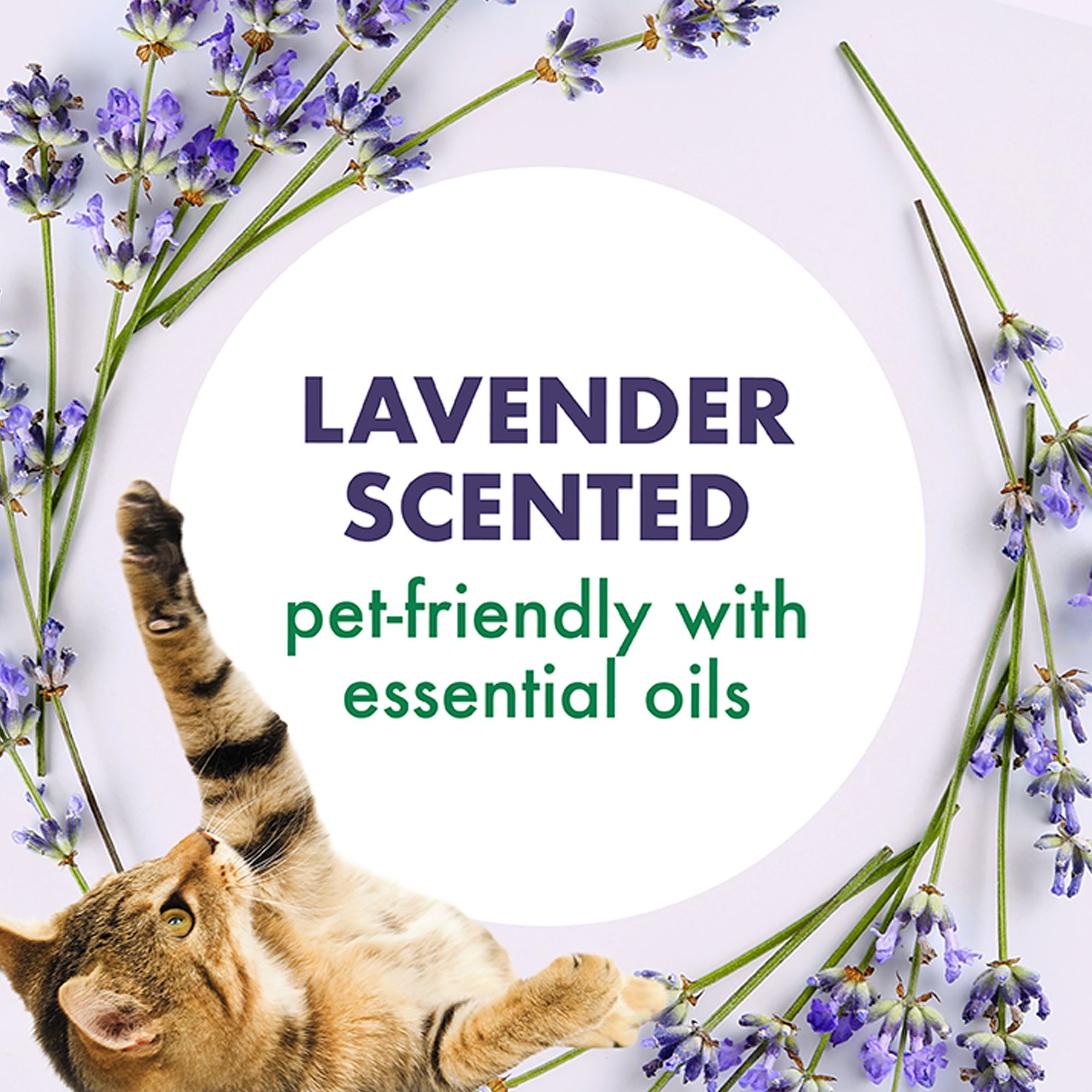 Arm & Hammer Forever Fresh Cat Litter Deodorizer Clumping Litter W/ Essential Oils - thumbnail 7