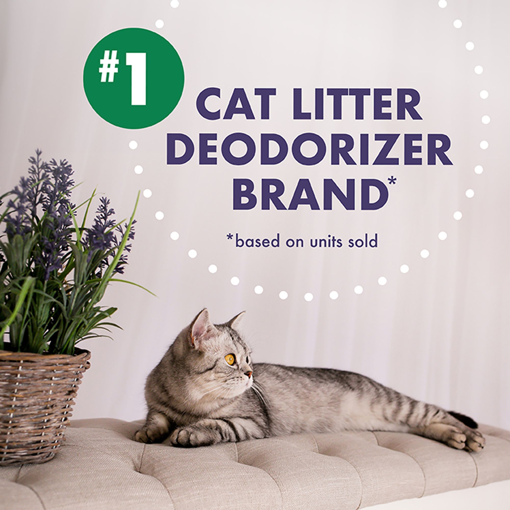 Arm & Hammer Forever Fresh Cat Litter Deodorizer Clumping Litter W/ Essential Oils - thumbnail 10