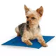 Product  K&H Pet Products Coolin' Pet Pad