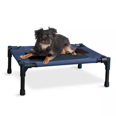 Petsmart outdoor dog bed hotsell