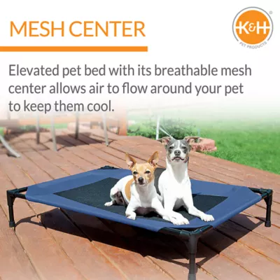 Petsmart elevated dog bed best sale