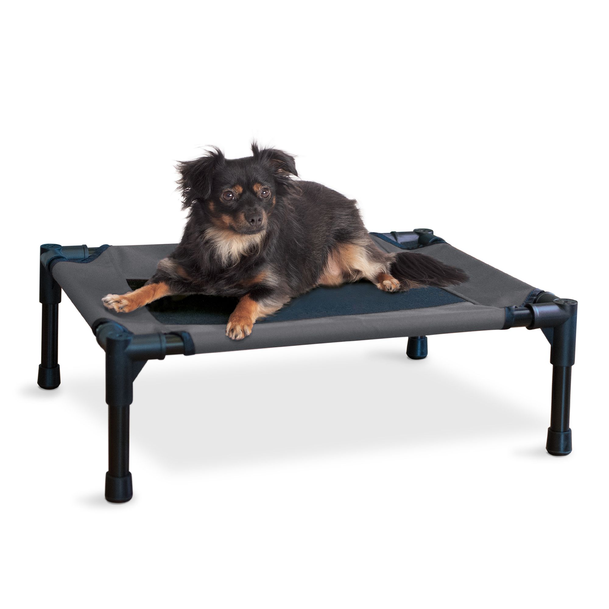 Petsmart elevated dog sales bed