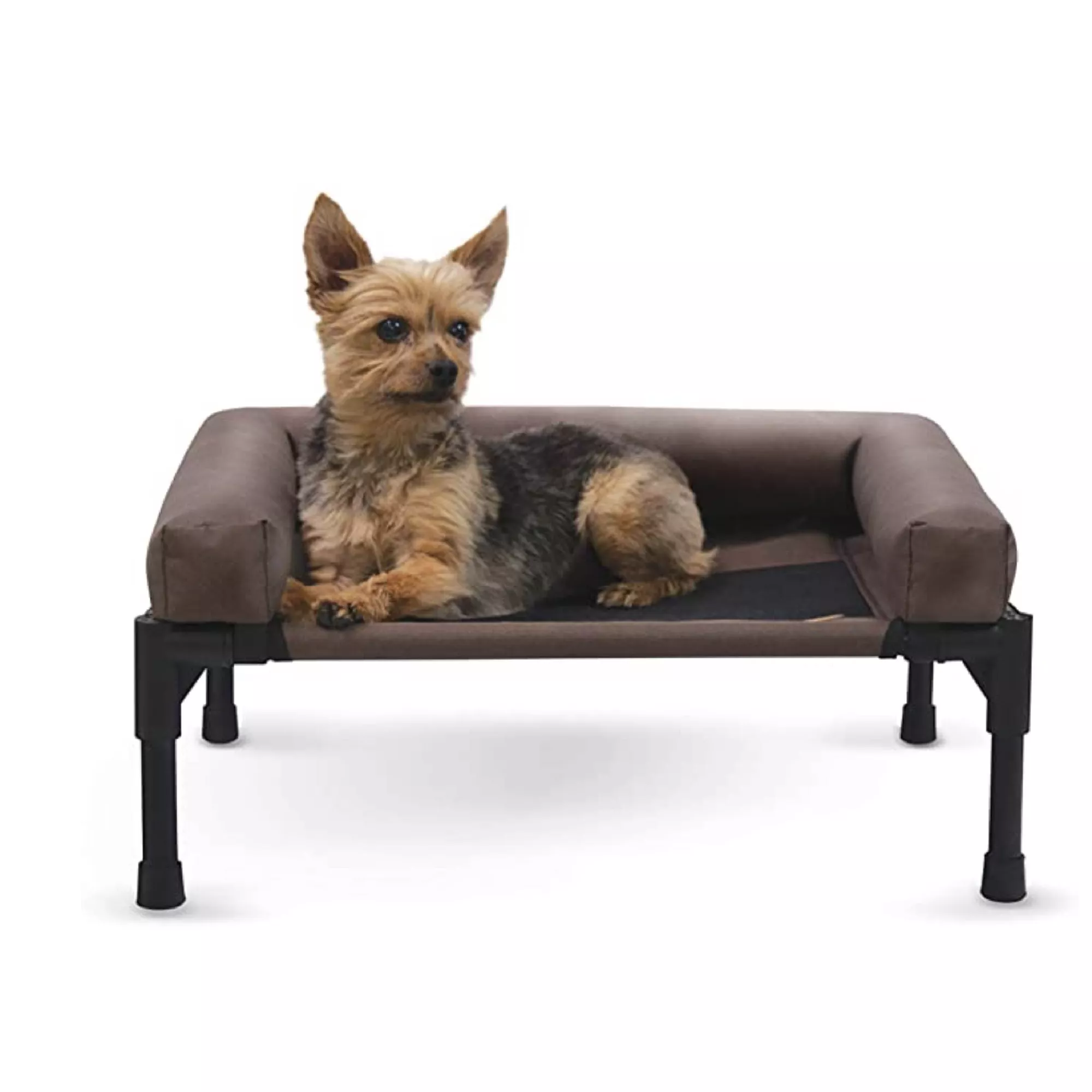 Elevated dog bed petsmart best sale