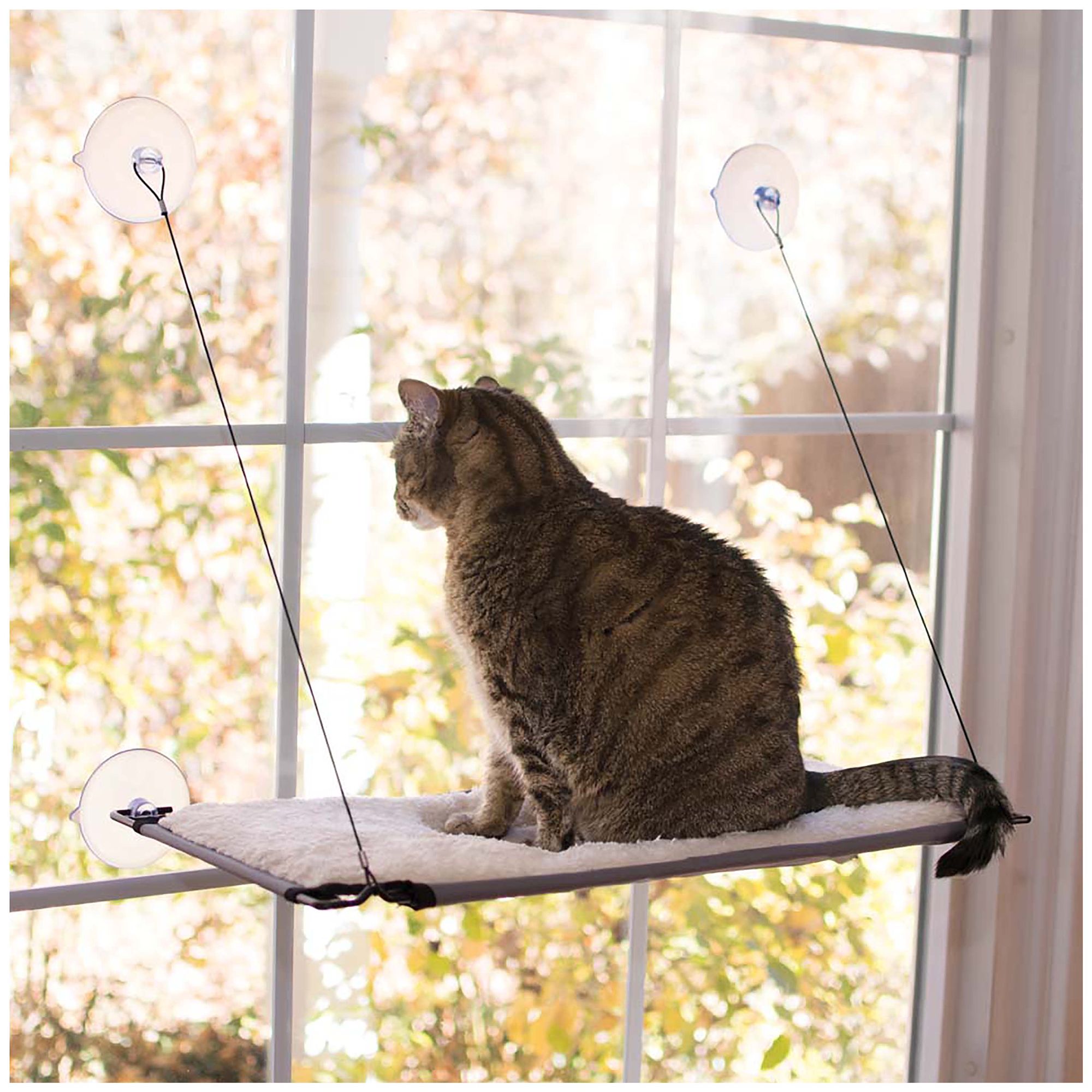 Petsmart window perch hotsell