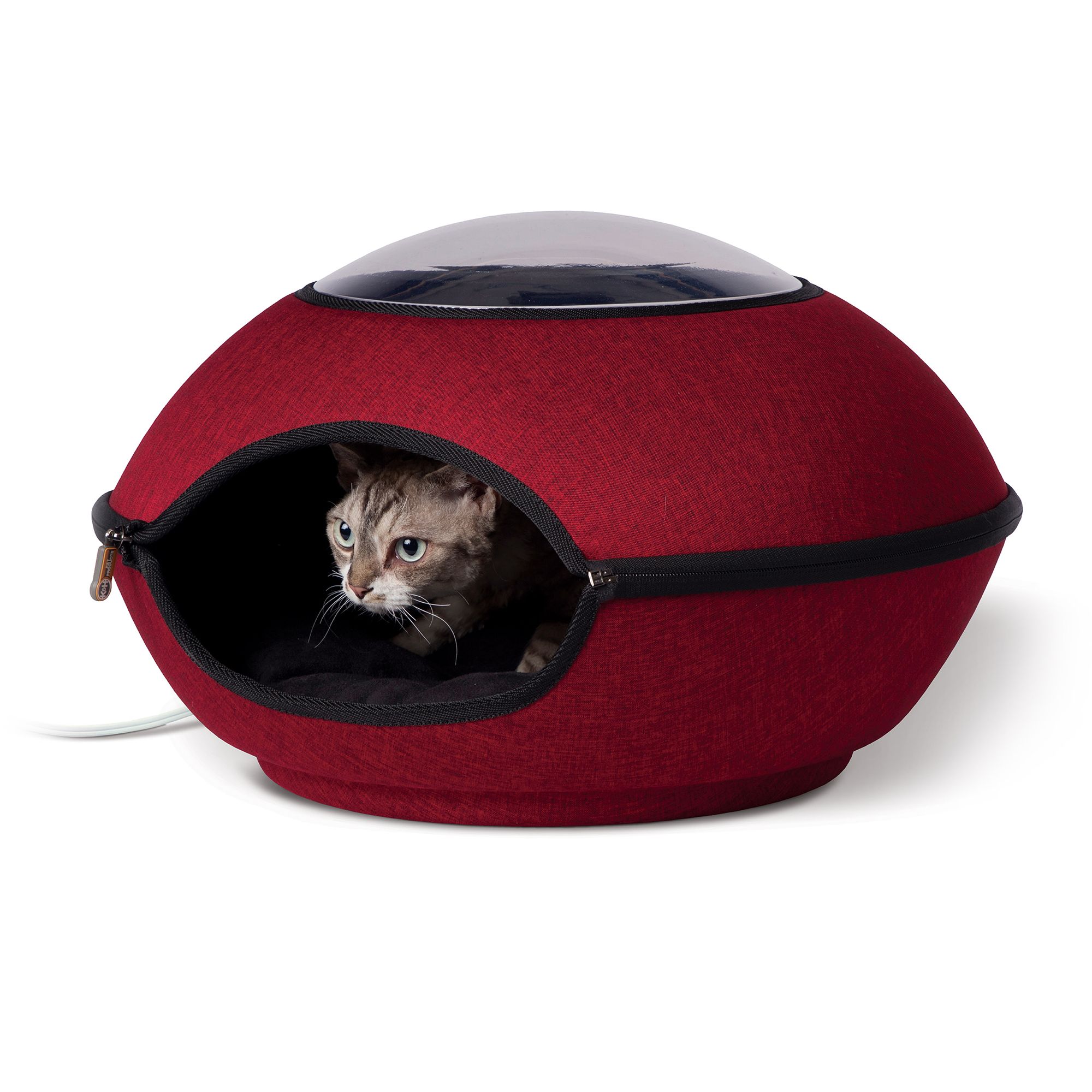 Heated cat beds petsmart best sale