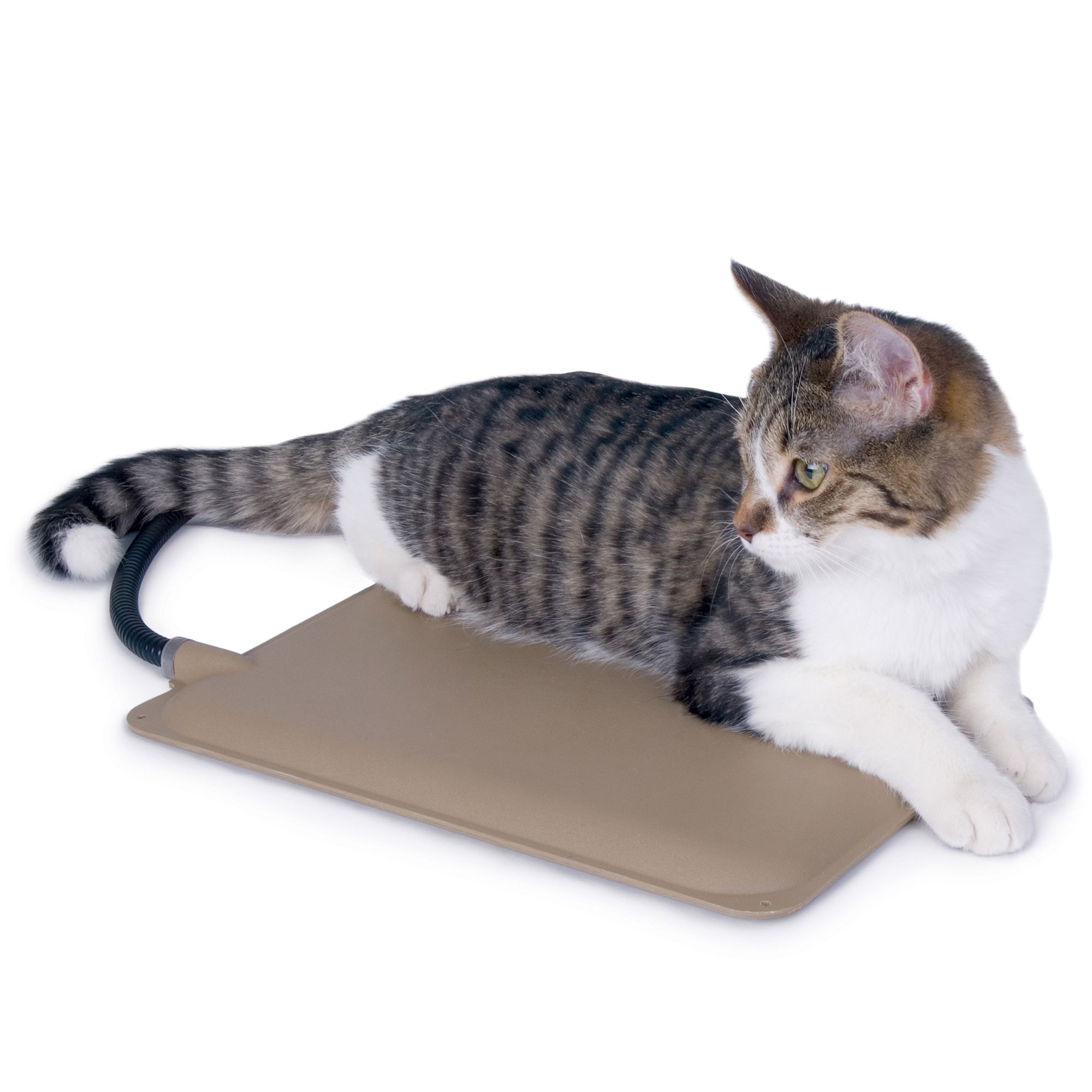 Petsmart outdoor heating pad sale