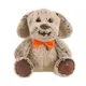 Product PetSmart Charities Chance & Friends Chance Halloween Plush Dog Toy