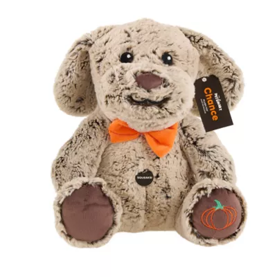 Product PetSmart Charities Chance & Friends Chance Halloween Plush Dog Toy