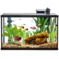 Top Fin® Coral Swim-Thru Aquarium Ornament