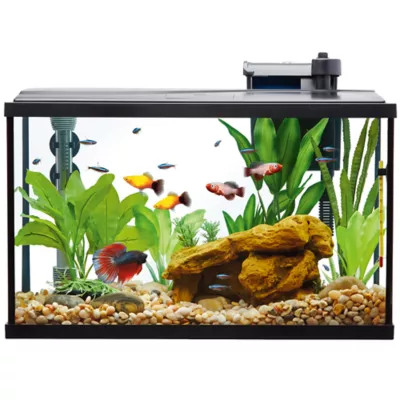 Top Fin Essentials Starter Kit Desk Aquarium