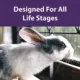 Product Mazuri Timothy Hay-based Rabbit Diet