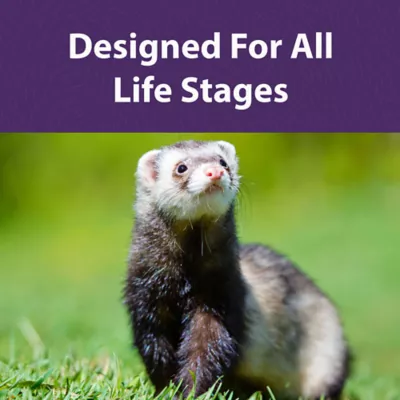 Product Mazuri Ferret Diet