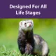 Product Mazuri Ferret Diet