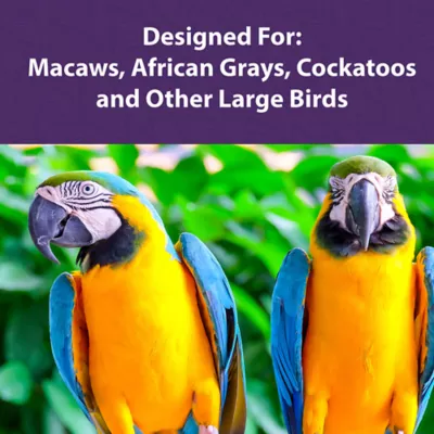 Product Mazuri Large Bird Diet