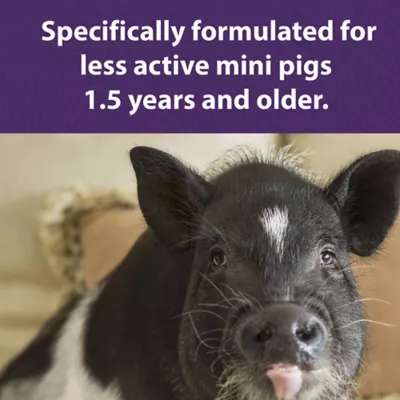 Product Mazuri Mini Pig Mature Maintenance Food