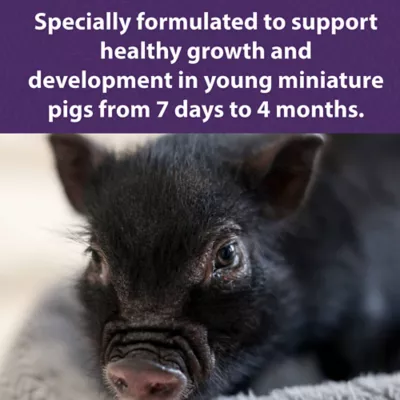 Product Mazuri Mini Pig Youth Food